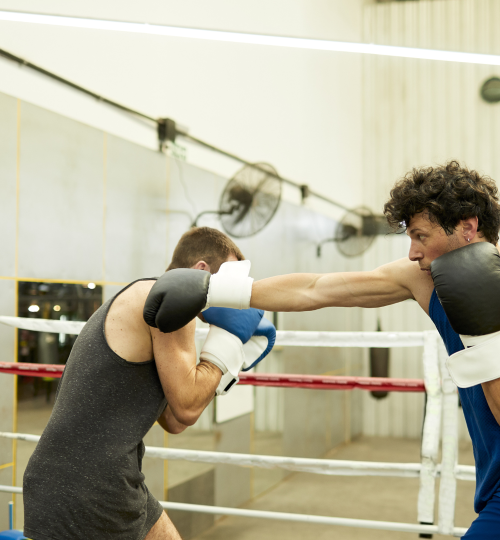 Boxing sparring