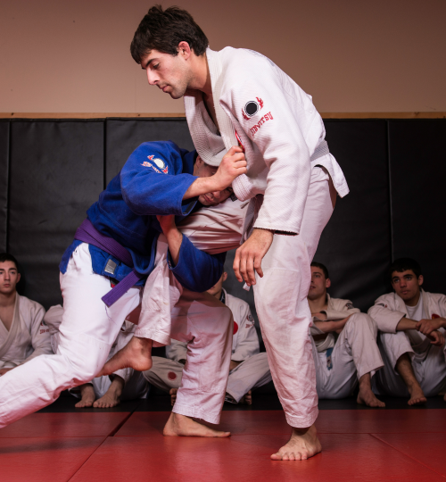 Jiu Jitsu Learn